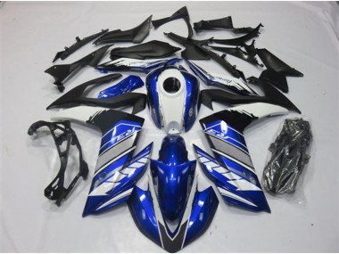 2015-2018 Blau & Silber R3 Verkleidung
