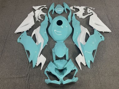 2019-2023 Aqua ZX6R Verkleidung