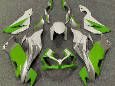 2019-2023 Grün-Weiß & Silber ZX6R Verkleidung