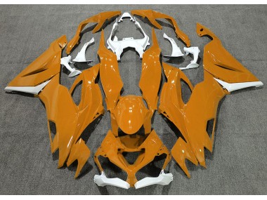 2019-2023 Orange Glänzend & Weiß ZX6R Verkleidung